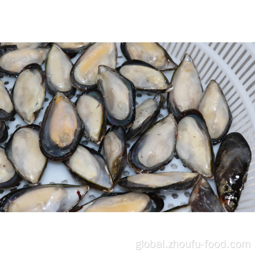 Frozen Mussel Meat Frozen Half Shell Mussel High quality frozen half shell mussel Manufactory
